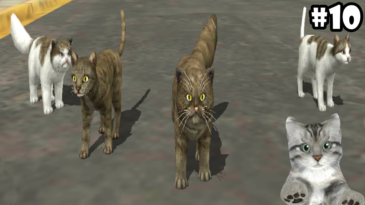 Cat Sim Online: Play with Cats -Update- Android / iOS - Gameplay Episode 10