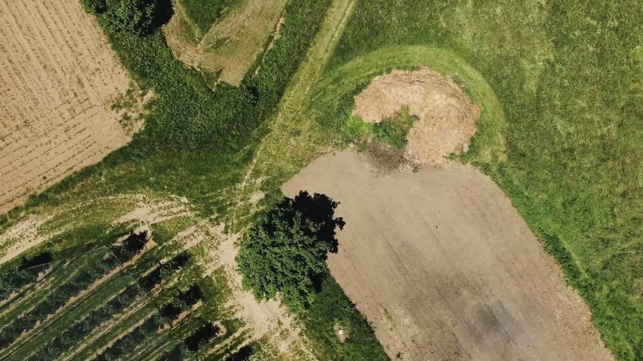 Obstanbau am Bodensee von oben