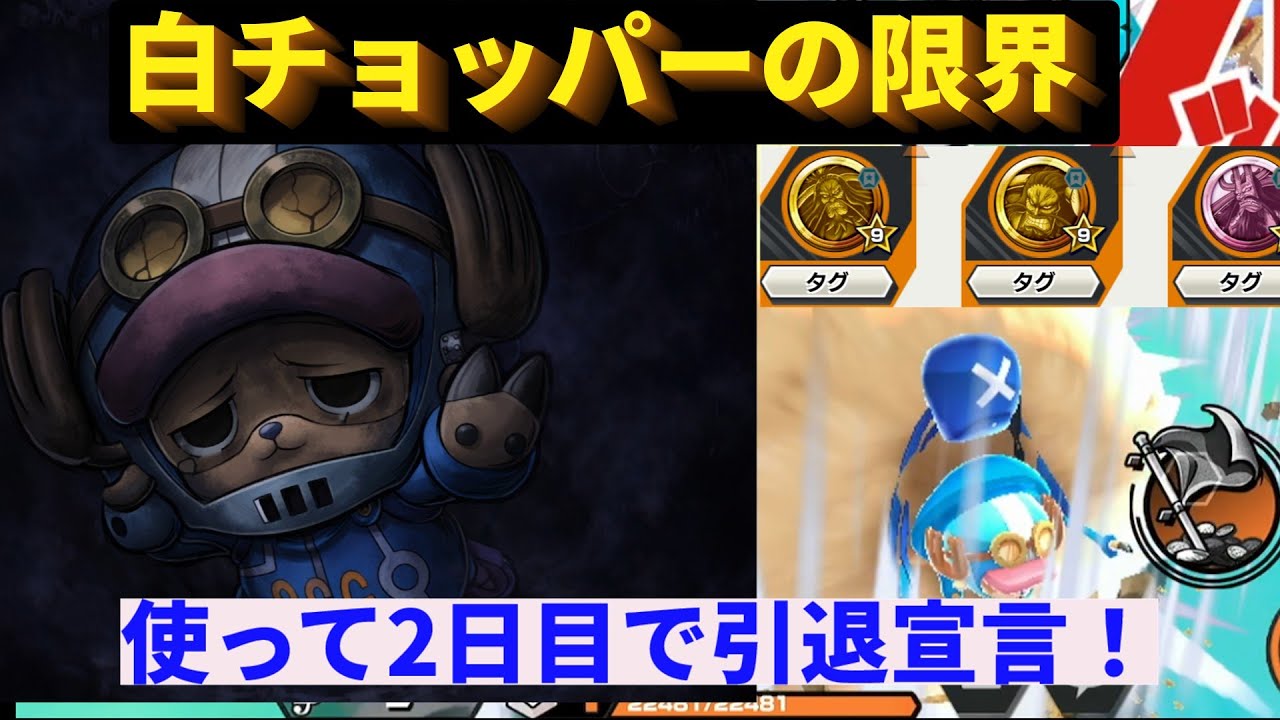 【白チョパ】防御80%+300+与ダメ27%メダル編成で使ってみた！　バウンティラッシュBountyRush