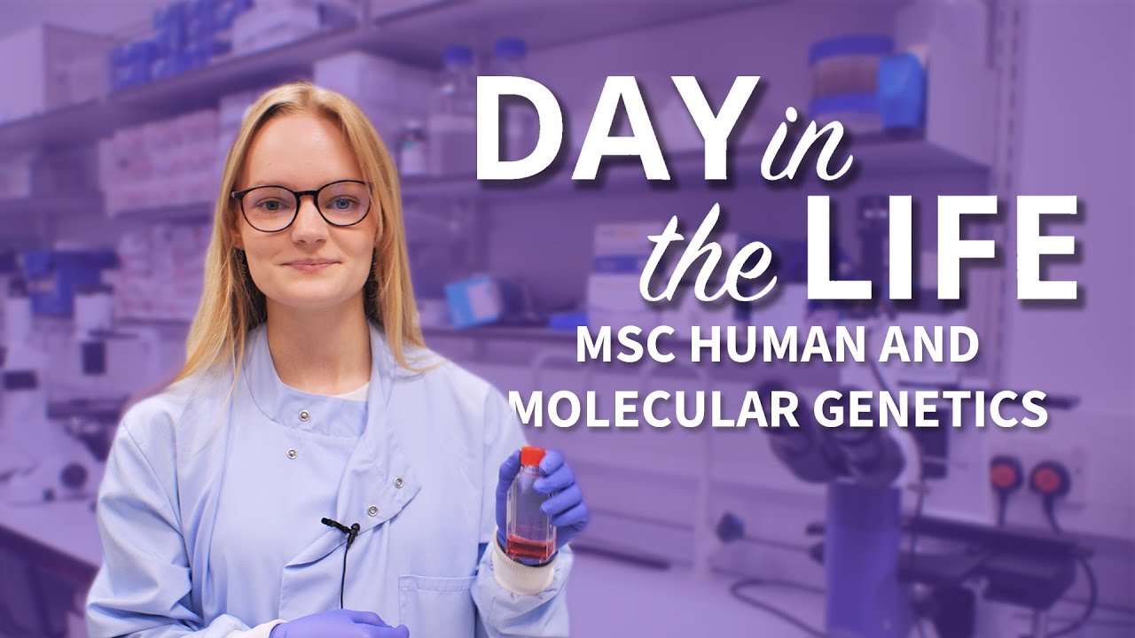 A day in the life of a Human and Molecular Genetics MSc student | University of Sheffield