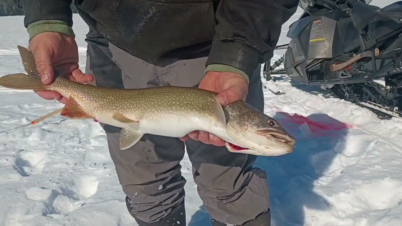 Ice fishing West Grand Junior Bay