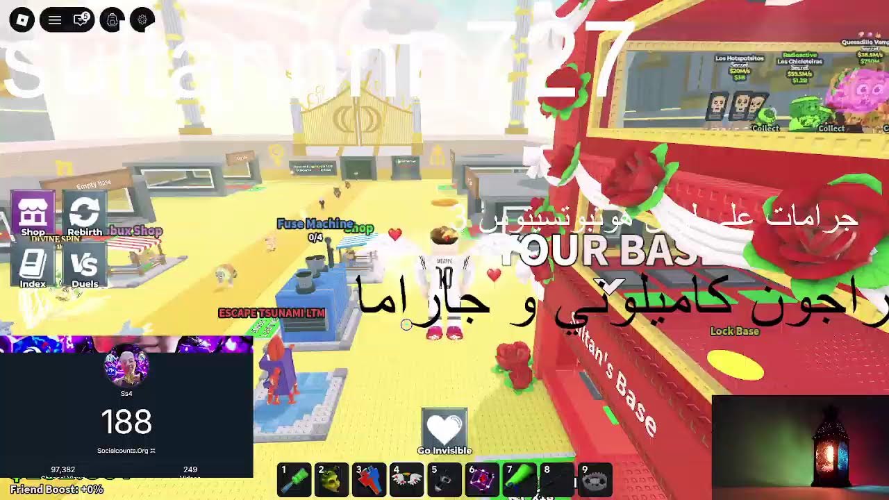 بث تريدات