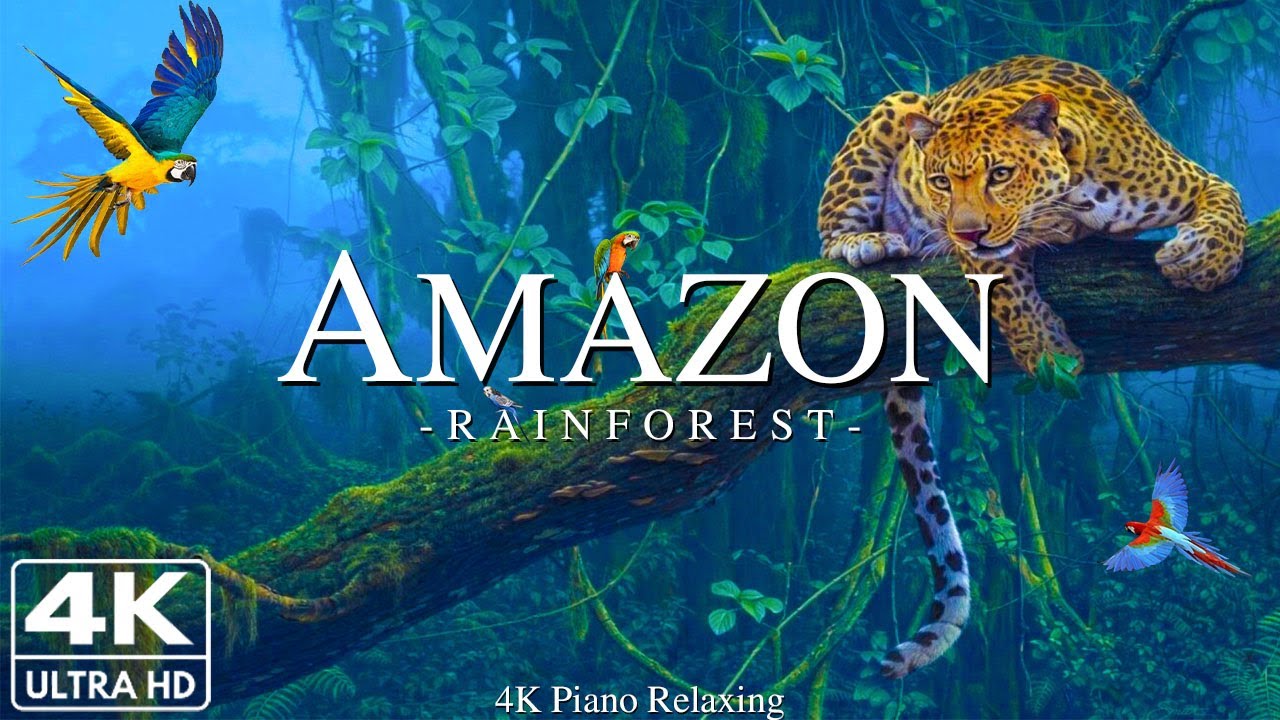 Amazon 4K - расслабляющая музыка с красивым природным пейзажем - Удивительная природа