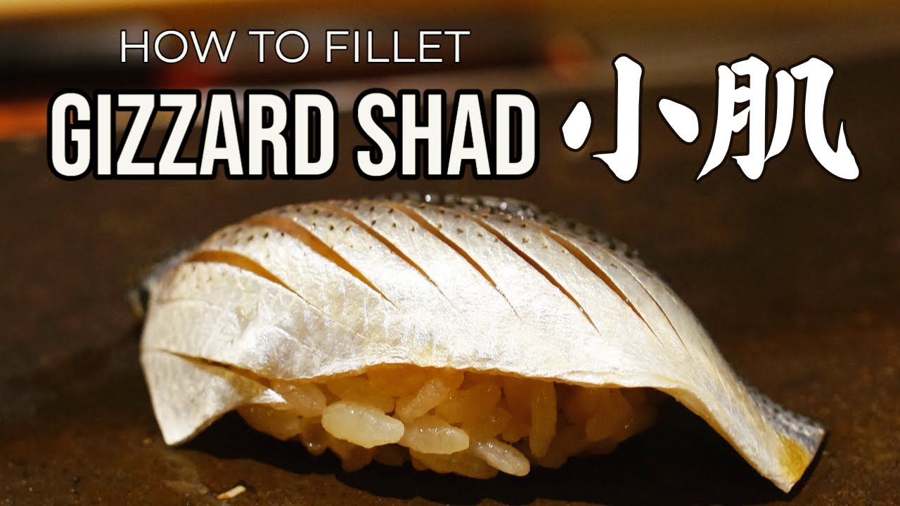 【寿司職人の業】小肌（コハダ） 捌き～握り How To Make Gizzard Shad sushi(Japanese Sushi Master)