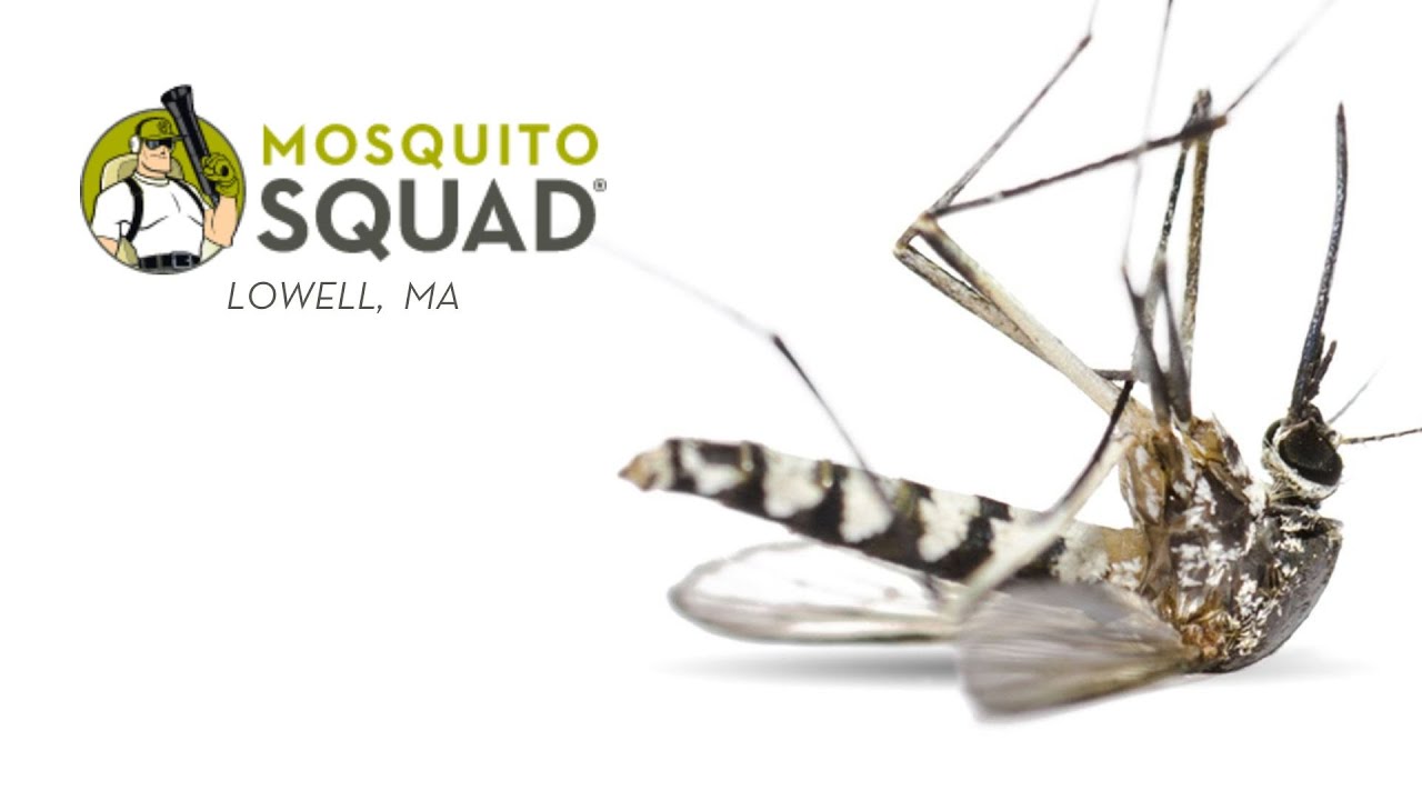 Mosquito Control Lowell MA | Tick Control Lowell MA | Lowell Mass Tick and Mosquito Pest Control