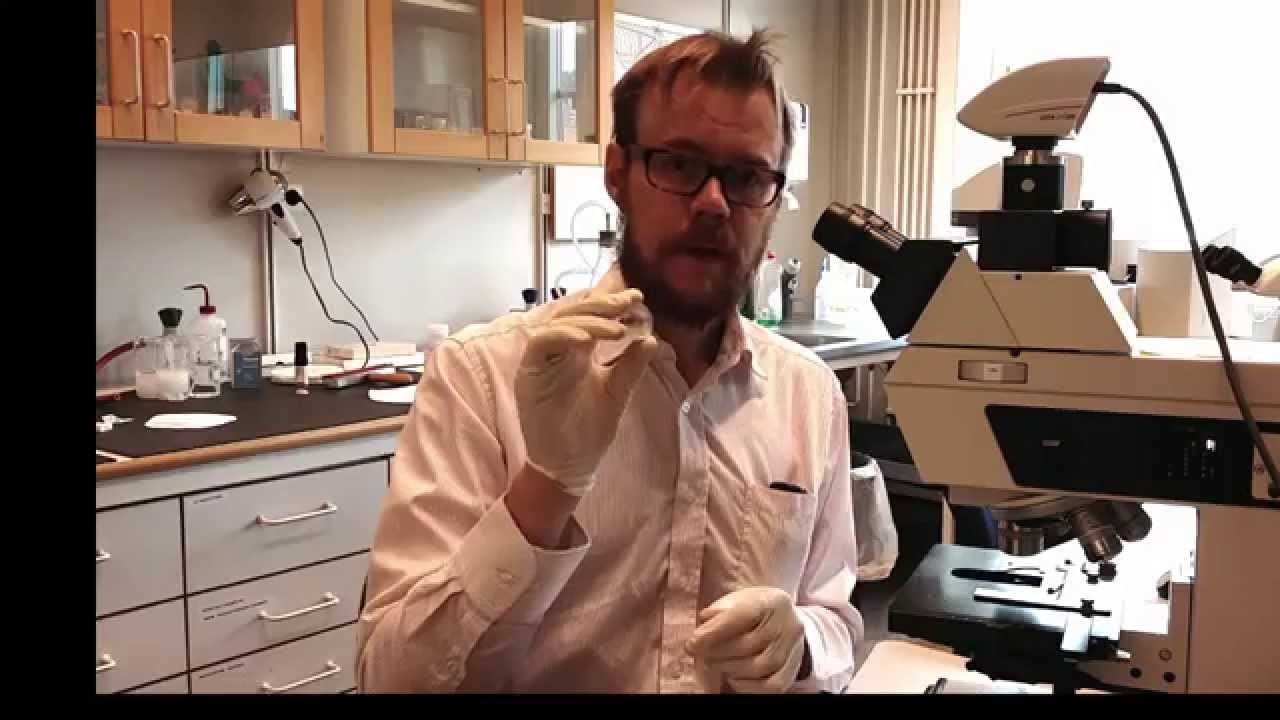 Sample preparation: -surface polishing