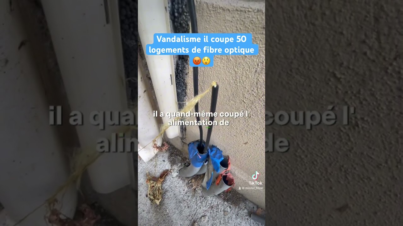 Il coupe 50 logements de fibre optique #fibre #fibreoptique #bouygues #free #orange #sfr