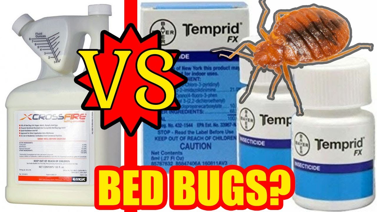 Temprid VS Crossfire — какой пестицид лучше всего подходит для борьбы с постельными клопами?