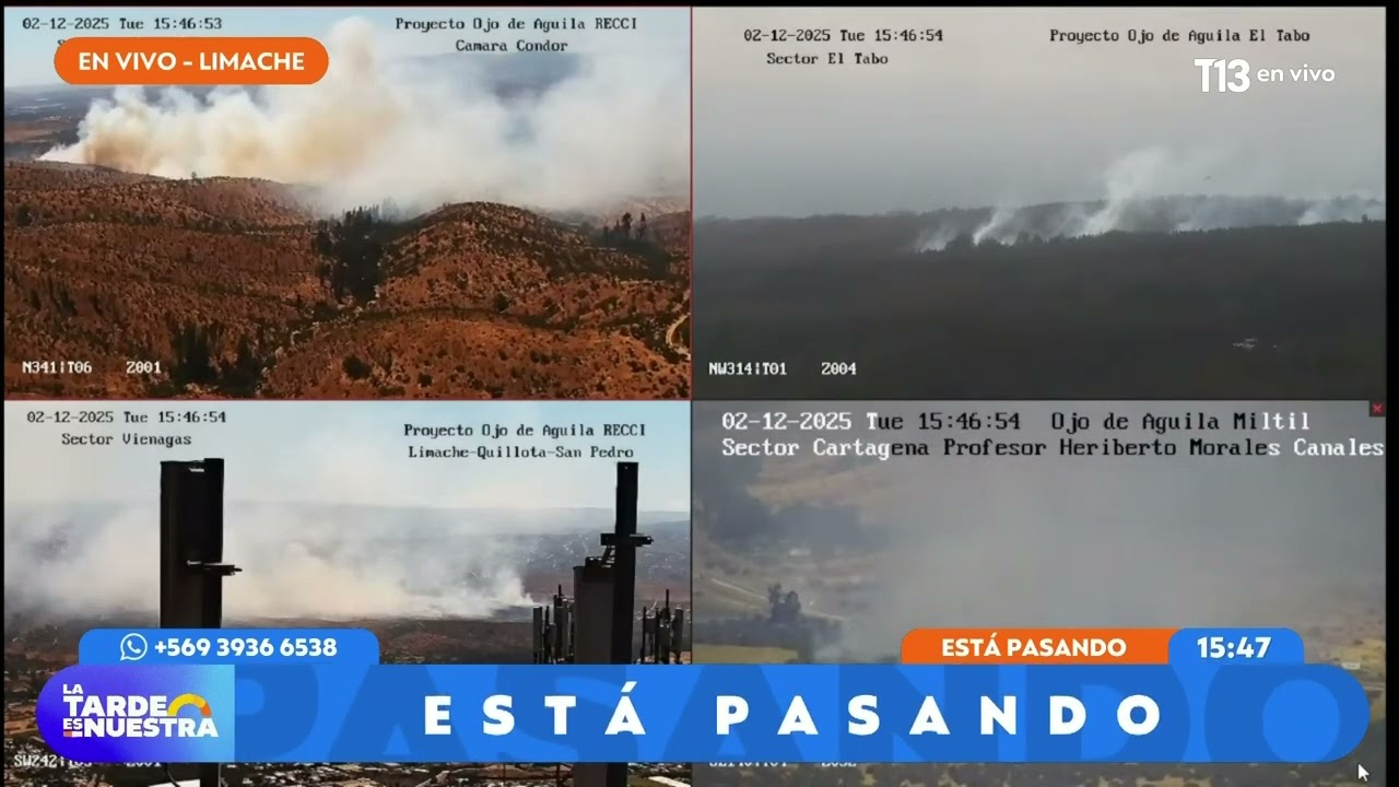 Solicitan evacuar sectores El Limachito y Condominio Limache por incendio forestal