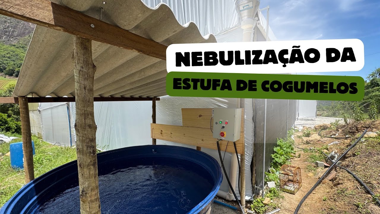 Sistema de nebulização na estufa de cogumelos