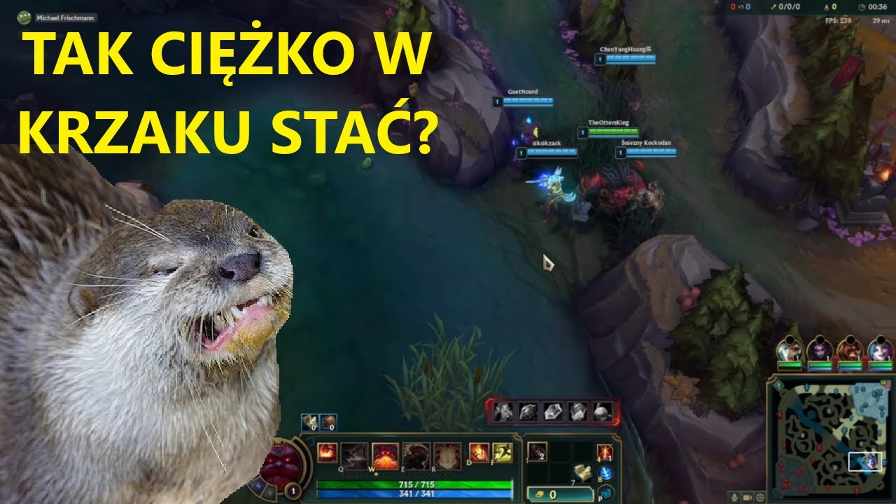 Ornn support jest cudowny