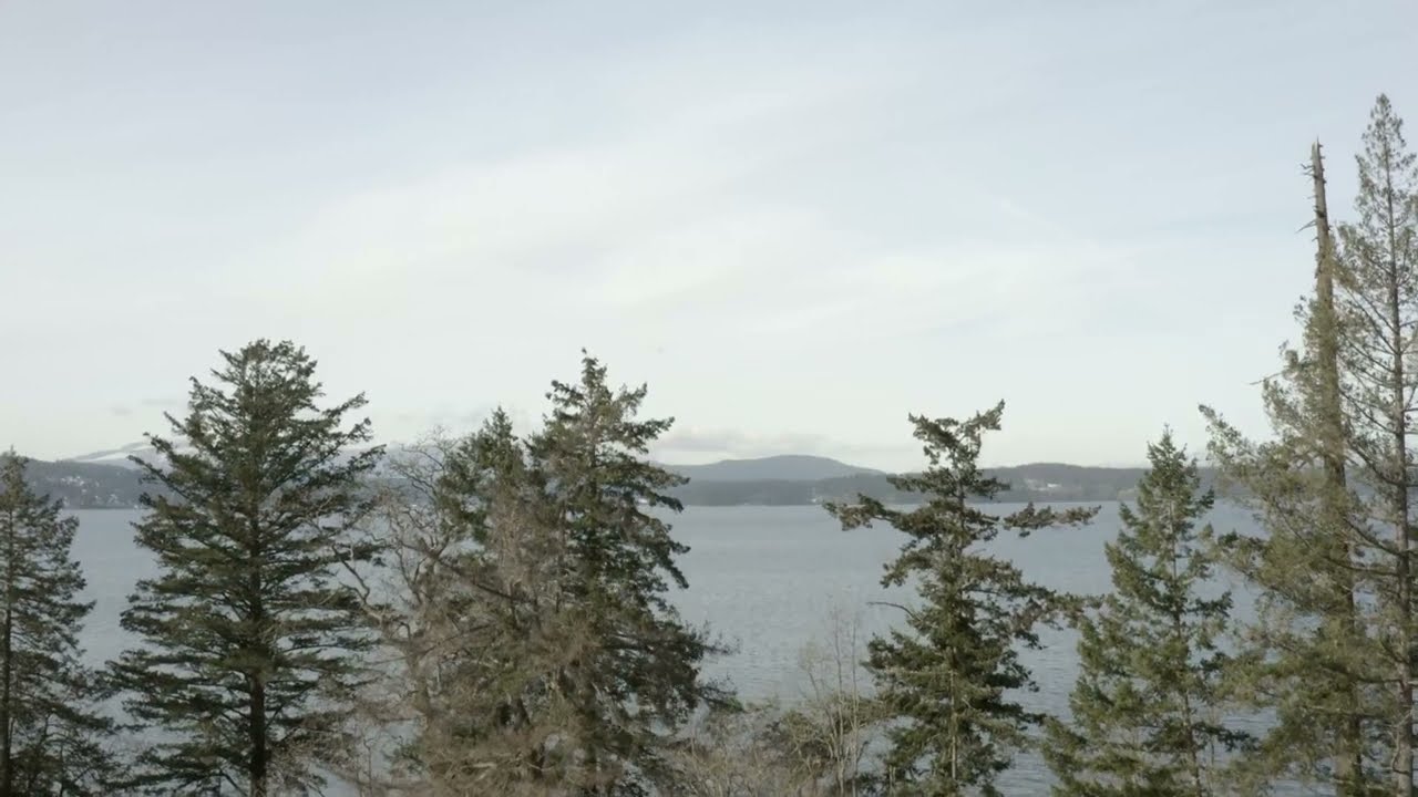 Bowing Cedar - Openspace Architecture