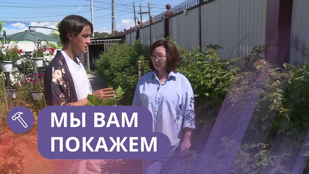 Мы вам покажем: Как ухаживать за плодовыми растениями?