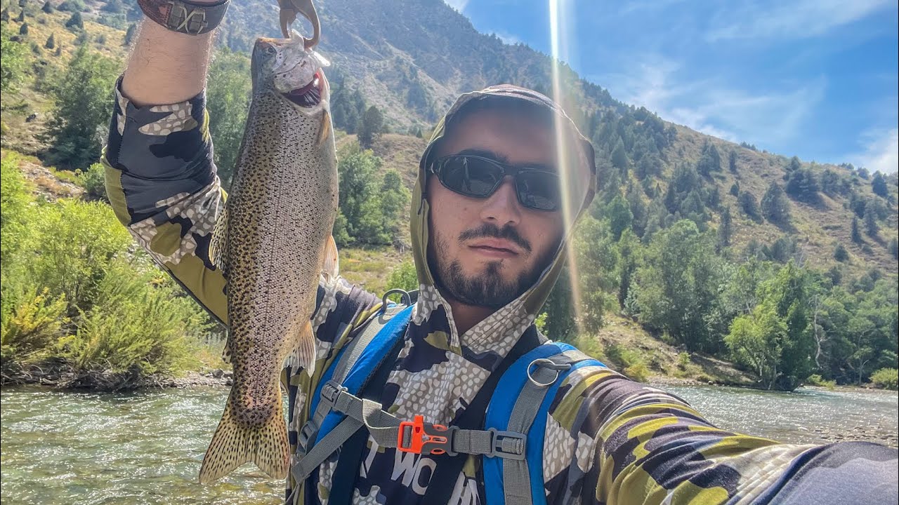 Forel baliq ovi, ko&rsquo;ksuv daryosi,Ayriqsoy vodiysi.