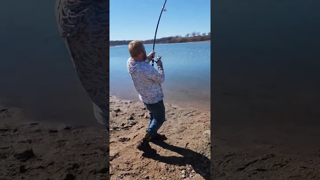 Snagging dinosaurs 
