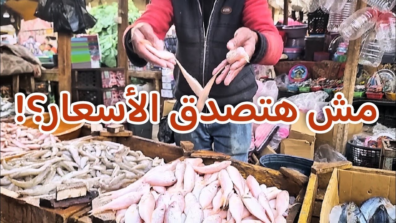 السمك بكام النهارده ؟ جولة مباشرة من سوق الأنصاري بالسويس