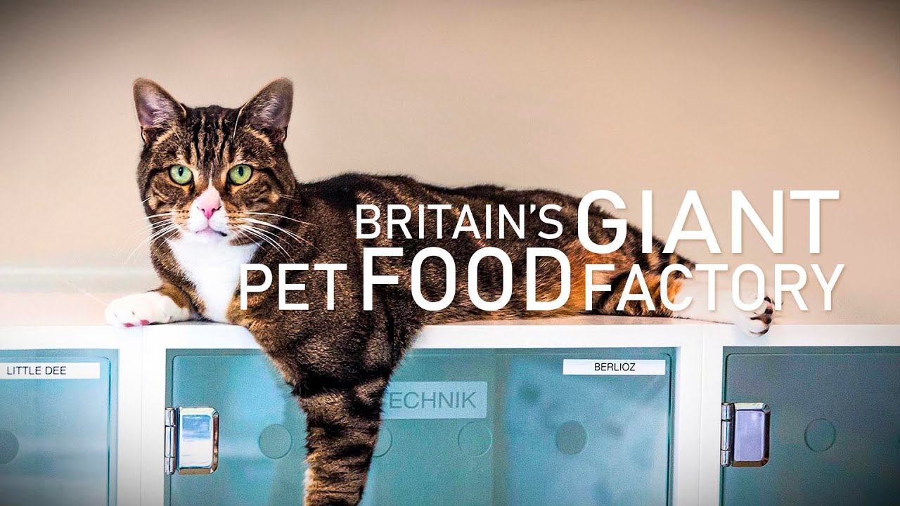 Britain's Giant Pet Food Factory - Trailer