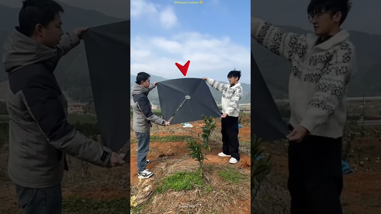 Smart Tree Cleaning Hack That Looks Crazy But Works 😱🌳 #shots #facts