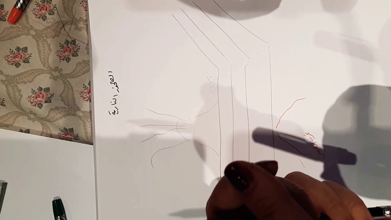 أشكال الصخور النارية وتركيبها الكيميائي١١علمي جيولوجيا