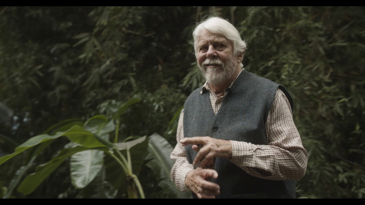 Robin Hanbury Tenison Reflections From a Rainforest