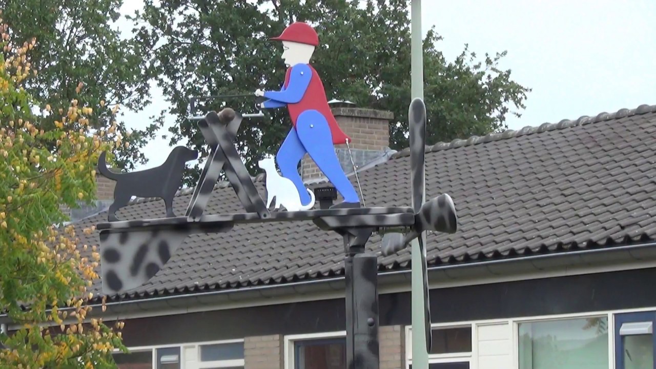 Project Zaagmolen