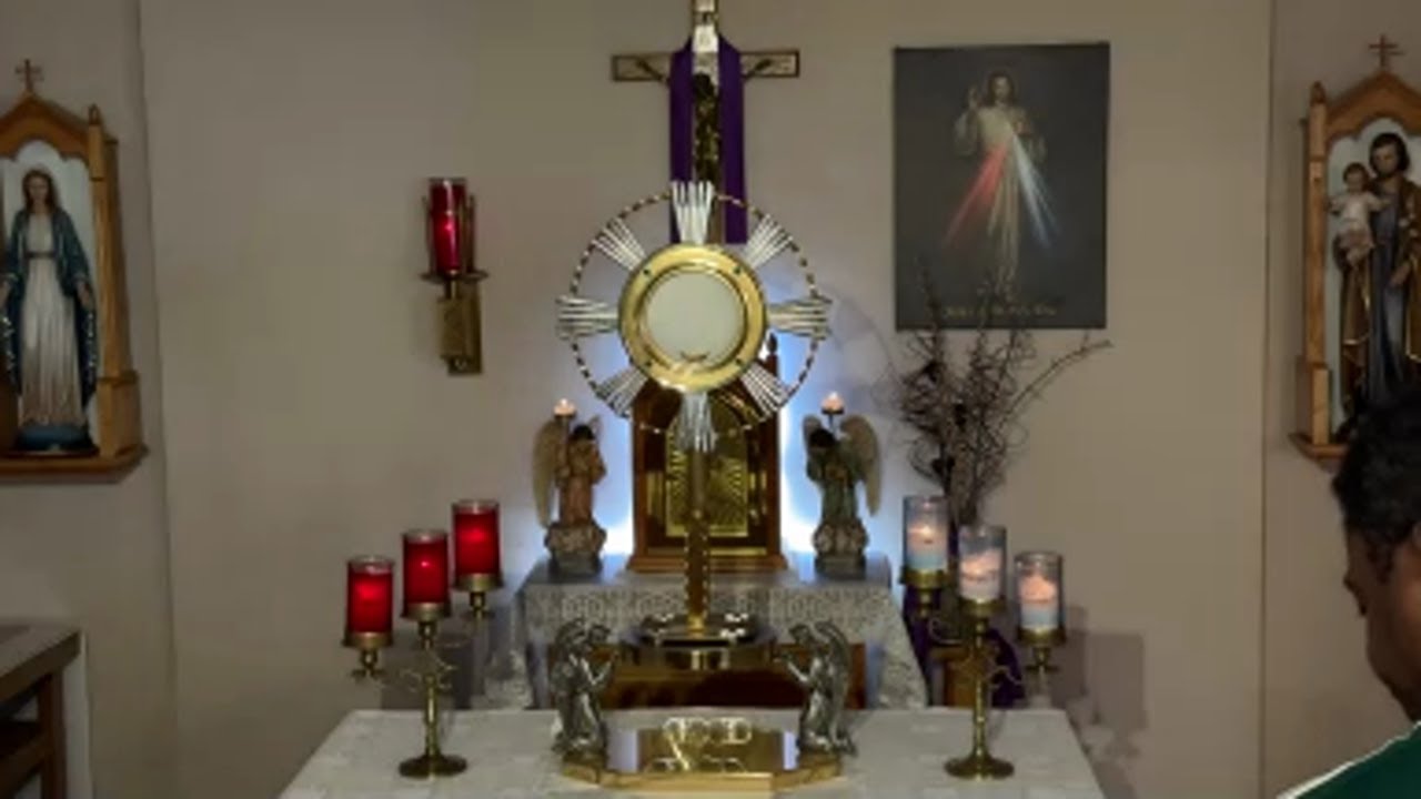 LIVE Eucharistic Adoration - Sisters of Divine Mercy