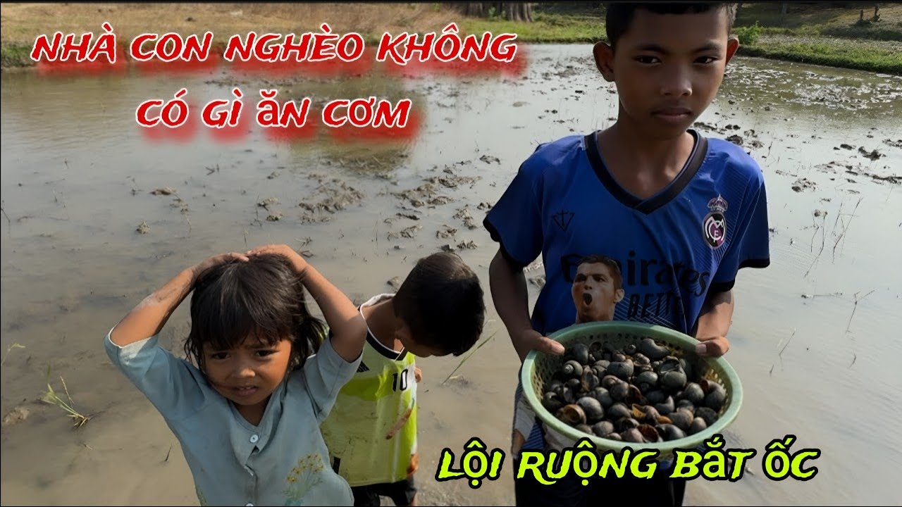Vì gia đình QUÁ nghèo mấy em nhỏ bắt ỐC BƯU để ĂN CƠM /184