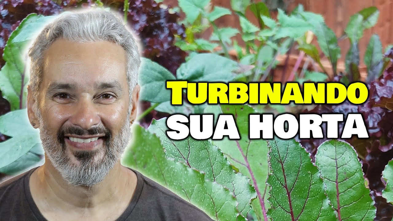 Como aplicar os princípios da Agrofloresta na horta.