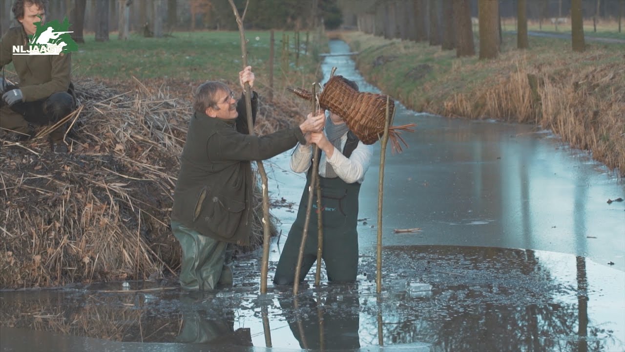 NL Jaagt - Hoe maak ik een eendenbroedkorf?