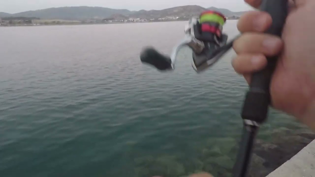 Κοκαλια στο κορδόνι στο Βόλο