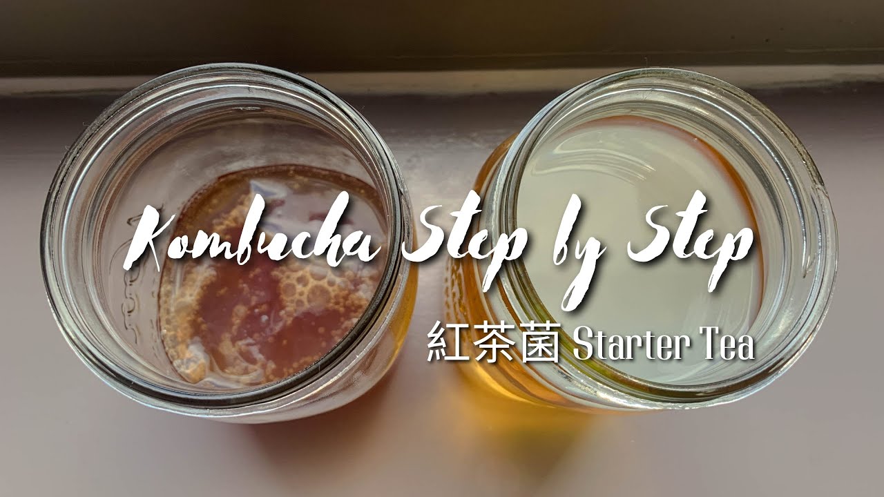 How to Make Herbal Kombucha Tea  (1) - Forming Scoby From Scratch