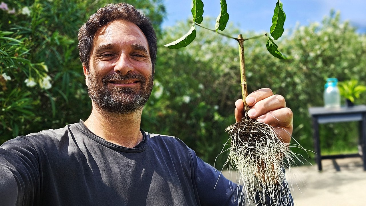 REPRODUCE CUALQUIER PLANTA!!
