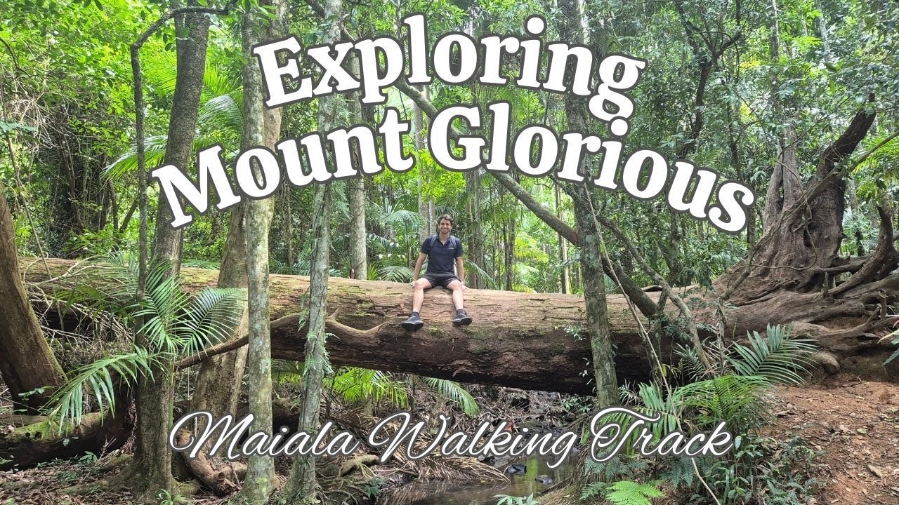 Exploring Mount Glorious - Bush Walking Track in QLD Australia