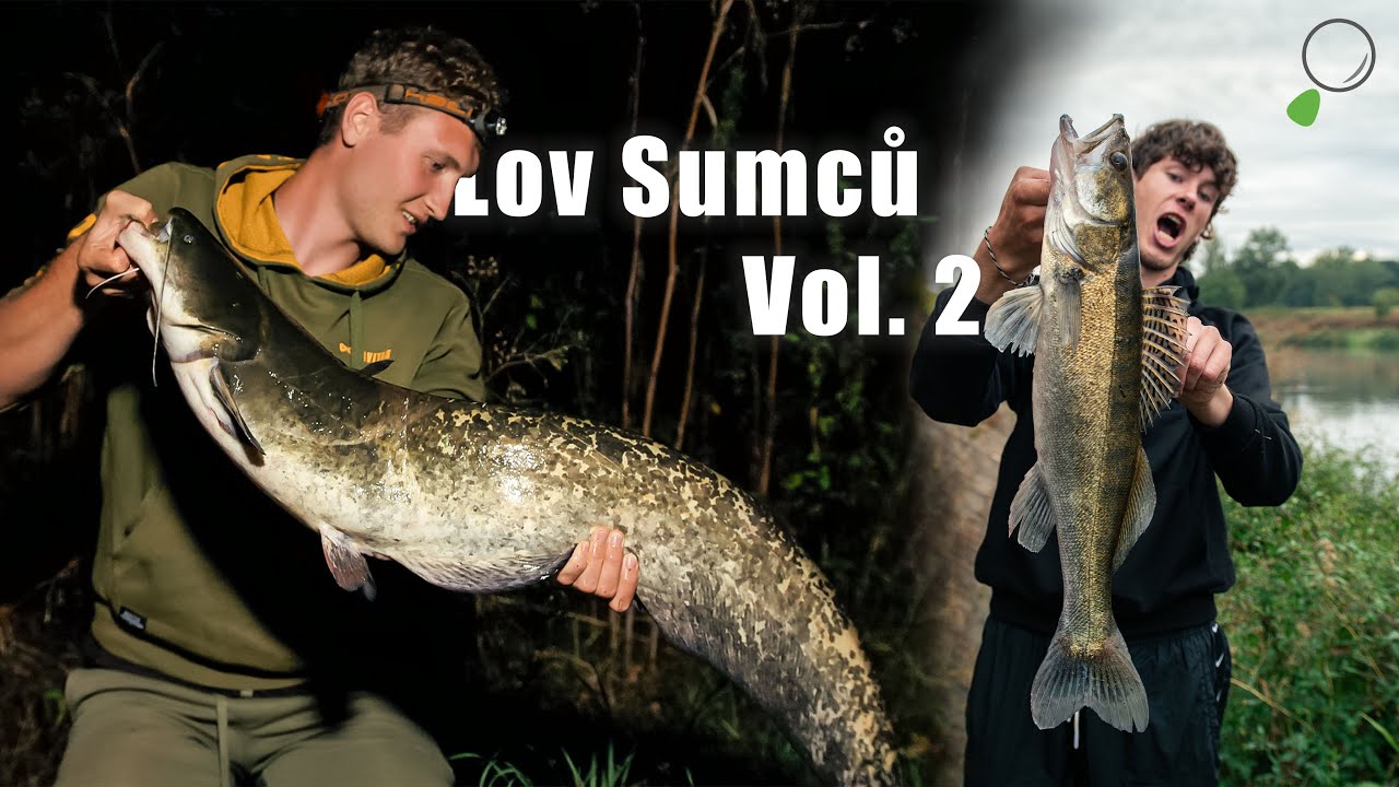 Chytáme Sumce na Labi  - Lov Sumců Vol. 2