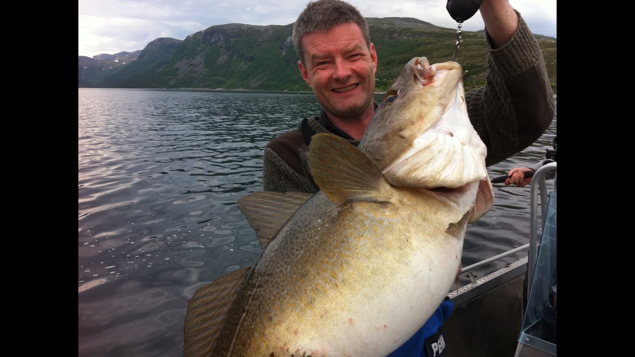 Mark Rae Fishing Adventures Norway, Storekorsnes Summer 2012