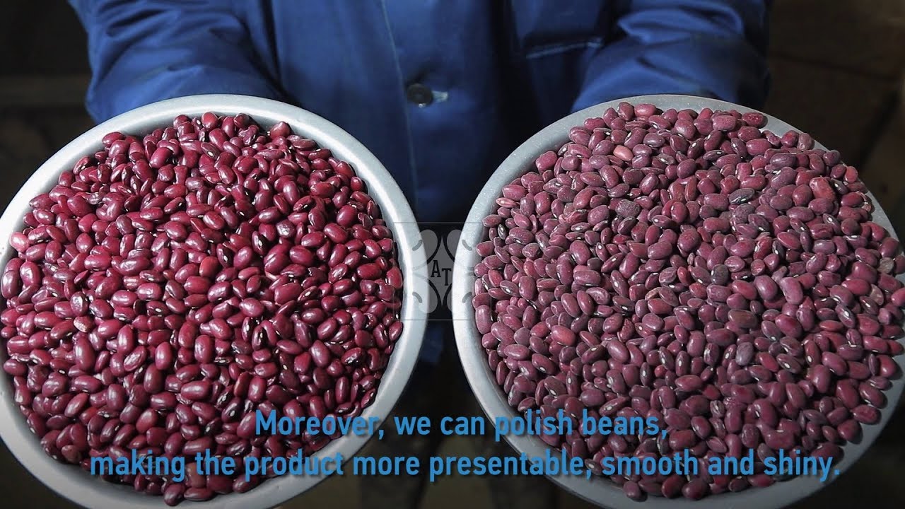 Processing of red kidney beans - ABADA Trade