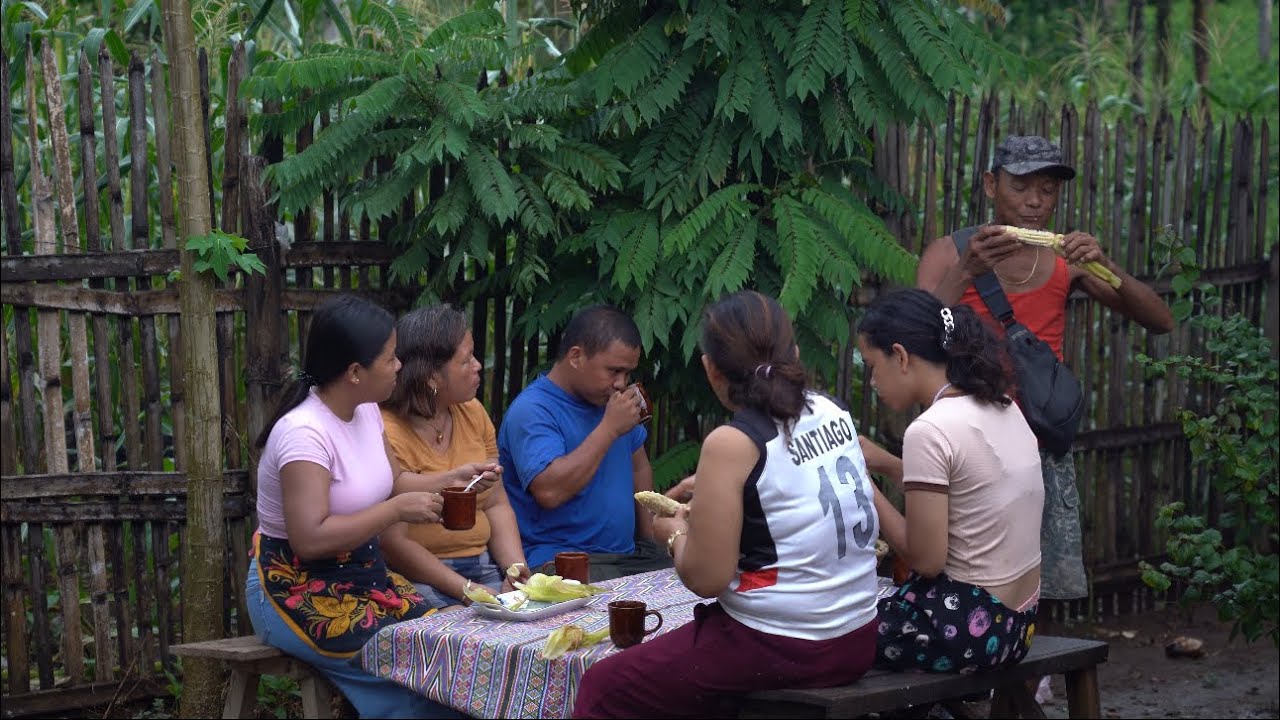 THE CORNFIELD | Corn Harvest, Making Pintos or Binaki ‘Steamed Corn Cake’ and Bulalo