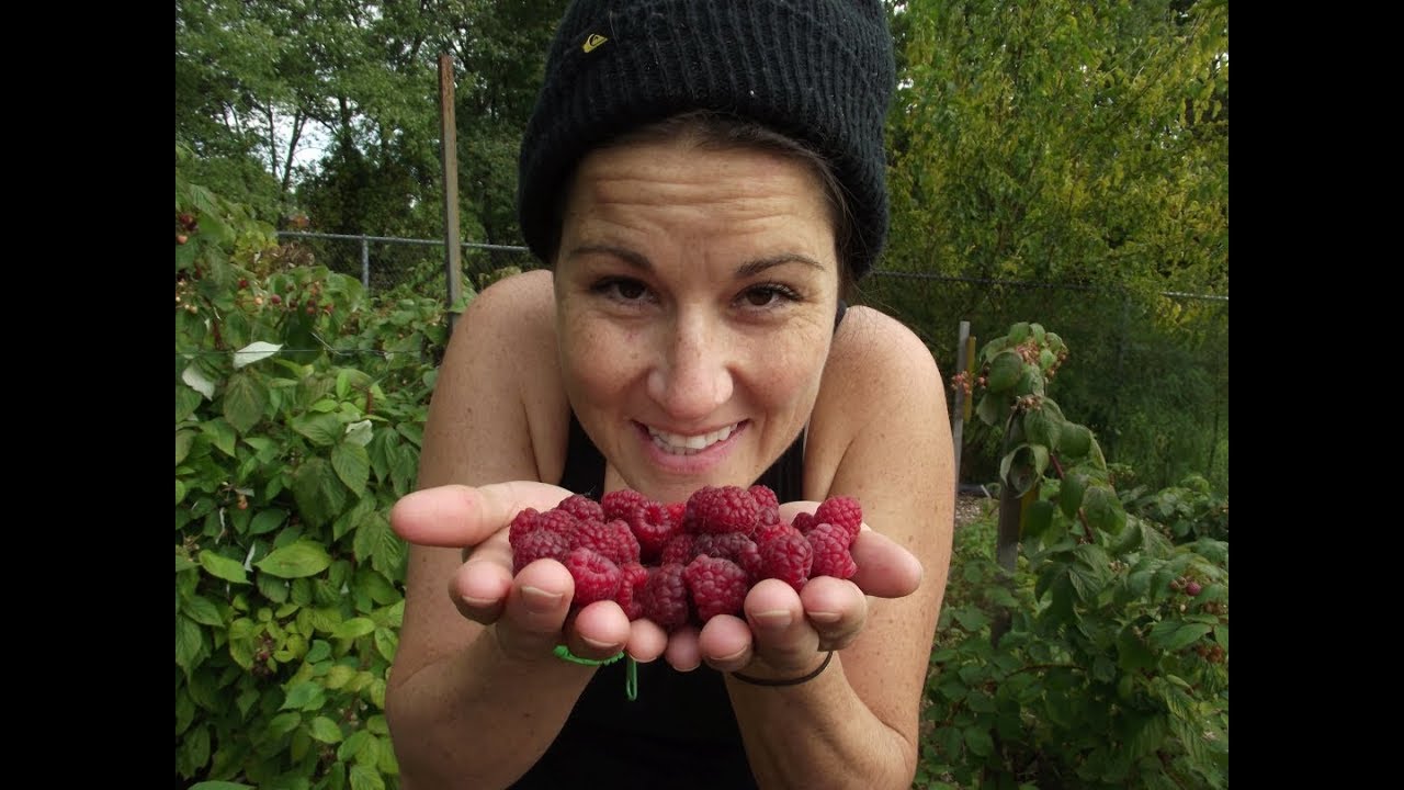 Durham Integrated Growers 