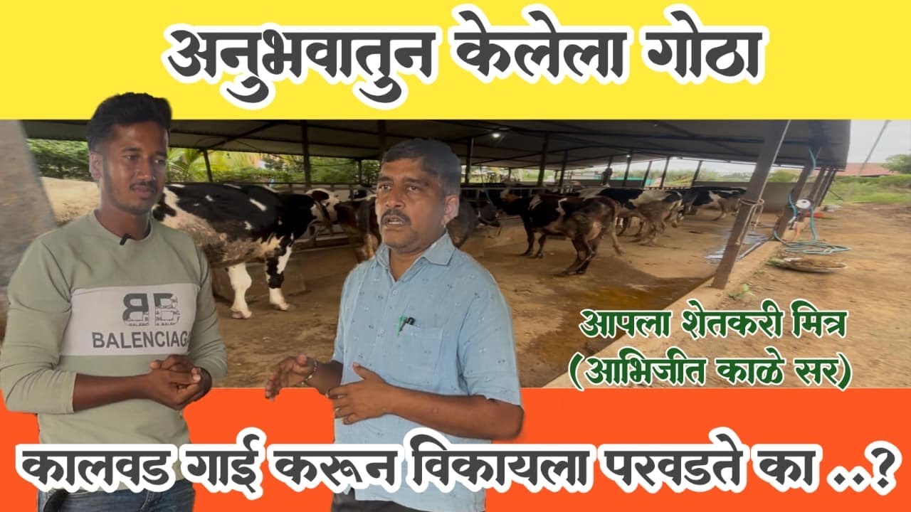 @आपलाशेतकरीमित्र पलाशेतकरीमित्र आता परेन्त युटब  वर नसलेली  यान्ची माहिती #pravin_dairy_farm 