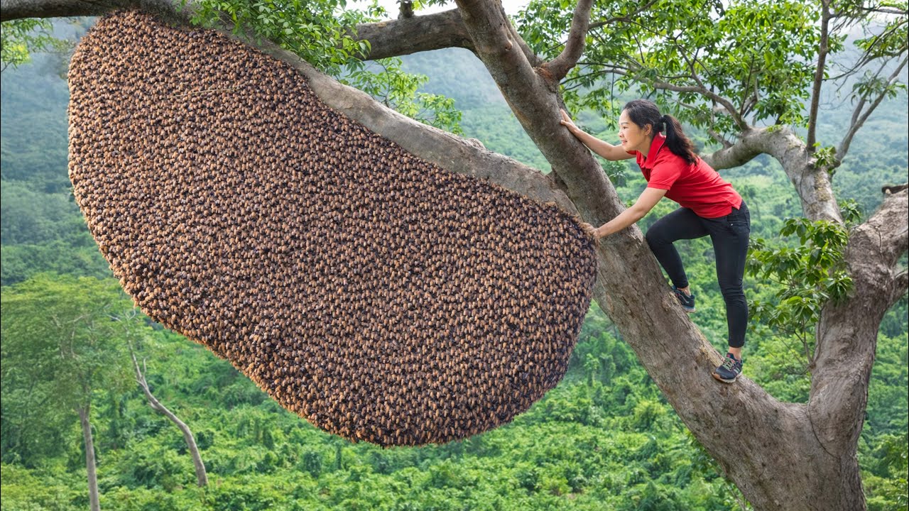 Harvest Giant Death Honey 2026 & Go to Market Sell | Reward achieved through near death experiences