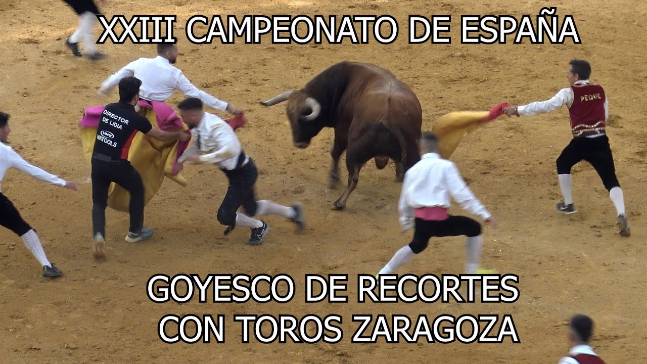 XXIII CAMPEONATO DE ESPAÑA GOYESCO DE RECORTES CON TOROS ZARAGOZA 2023