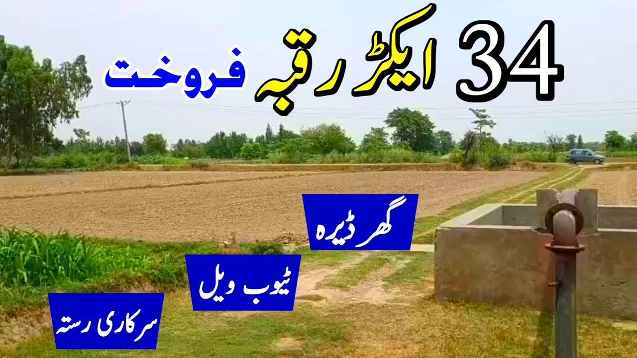 278 Kanal Land for Sale in Punjab pakistan | 34 Acres Agriculture Land for sale | Ep 038