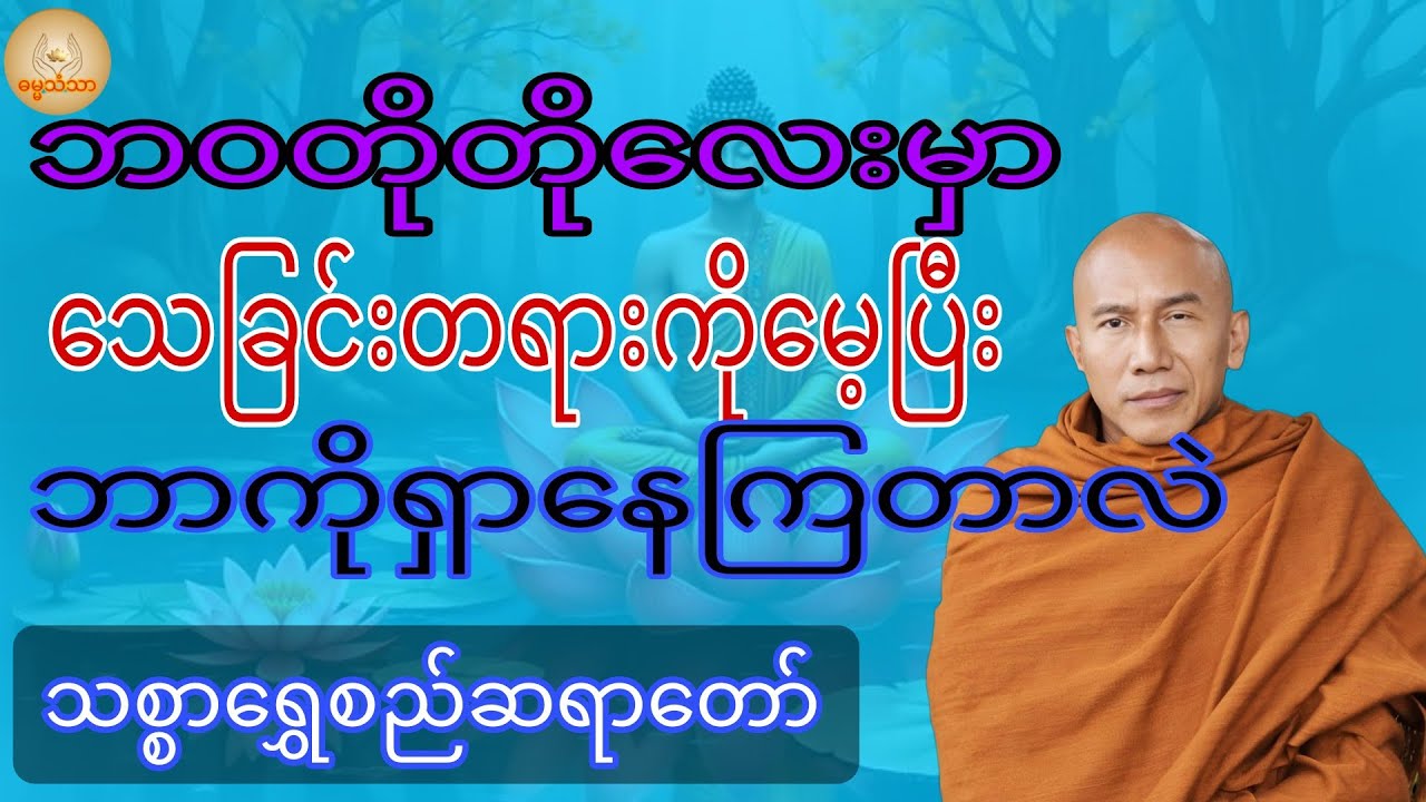 ဘာကိုရှာနေကြတာလဲ တရားတော်