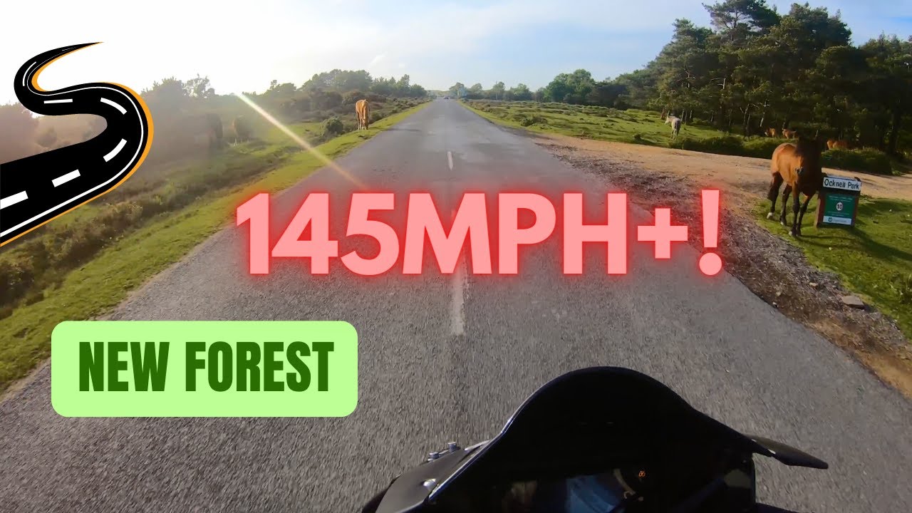 Forest Ride + Motorway Speed Run / CBR650R 4K CRISP AUDIO