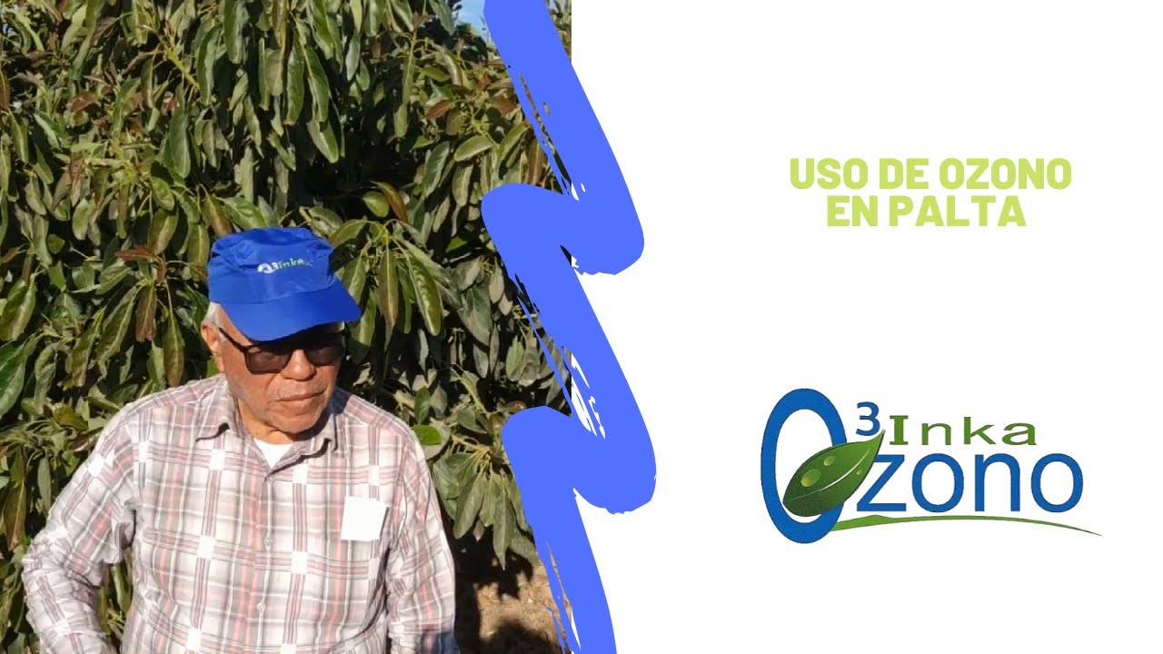 Agricultura con Ozono En Paltas - Arequipa