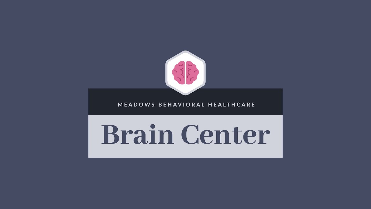 What is The Brain Center at Meadows Behavioral Healthcare?