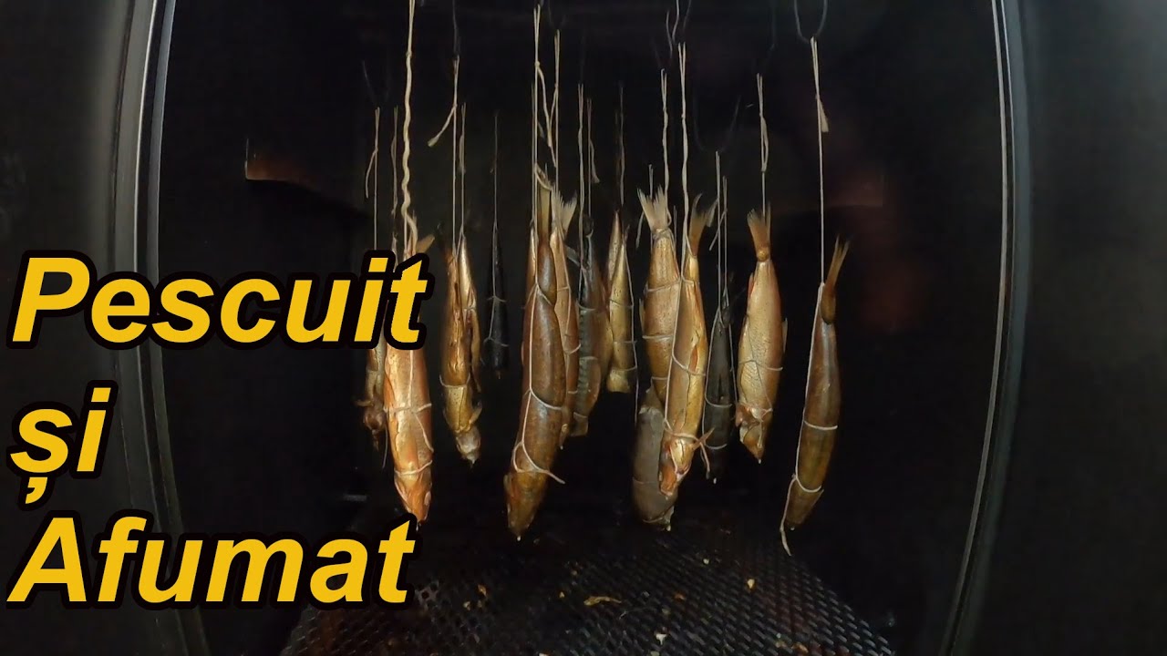 Am Pescuit și Afumat Pește Sălbatic