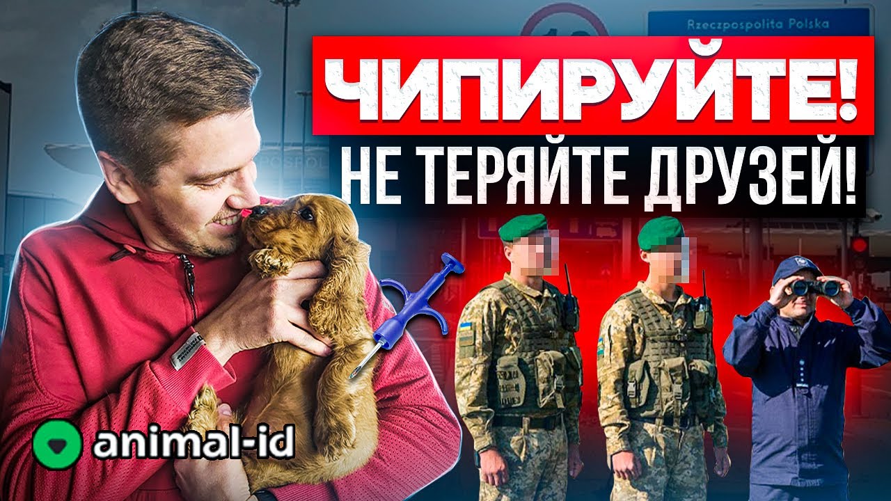 Чипирование Животных: Зачем это делать?! Регистрация чипа в базе! Безопасность или формальность?!