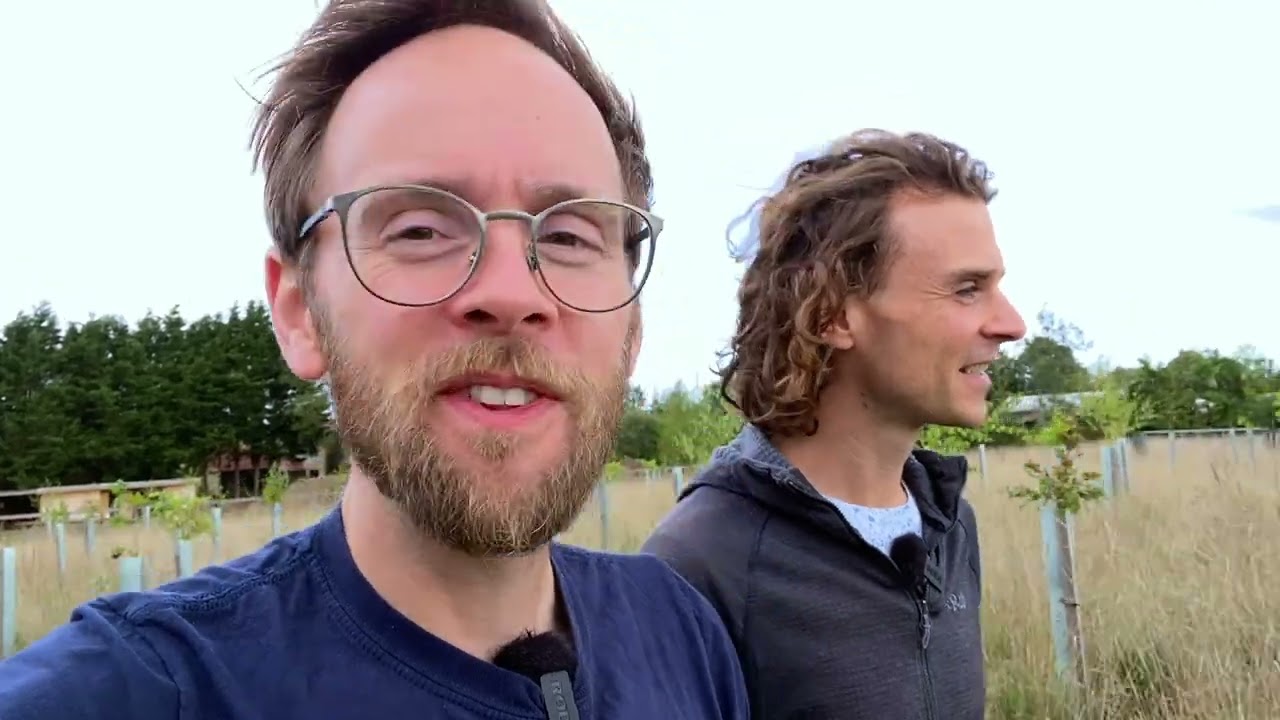 🌳 NINEBARROW WOODLAND UPDATE 25 - Signs of summer stress...and a giant ditch!!