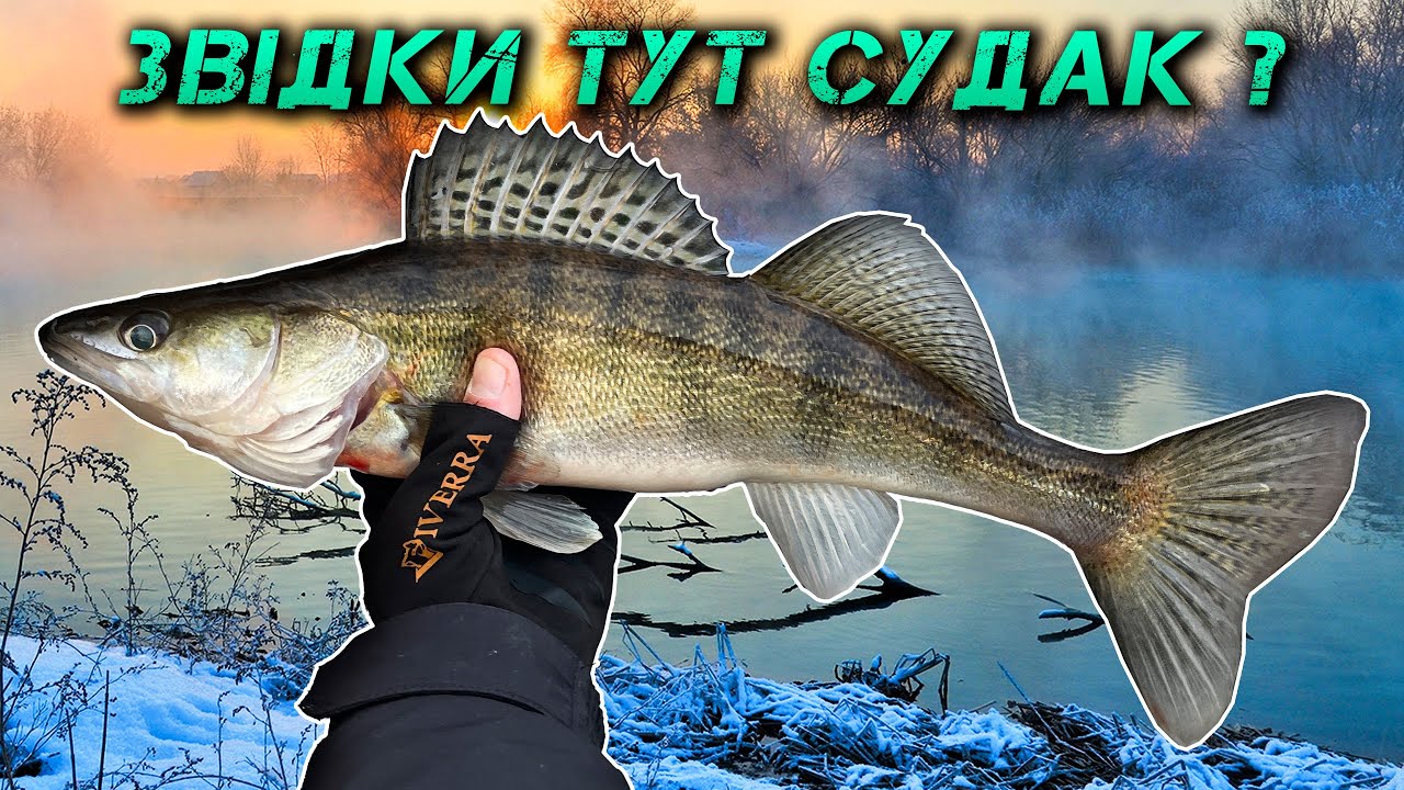 ✅СЮРПРИЗ НА МАЛІЙ РІЧЦІ! ОЦЕ ПОКЛЬОВКИ ВЗИМКУ!✅